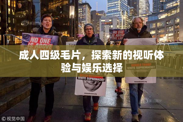 成人四级毛片，探索新的视听体验与娱乐选择
