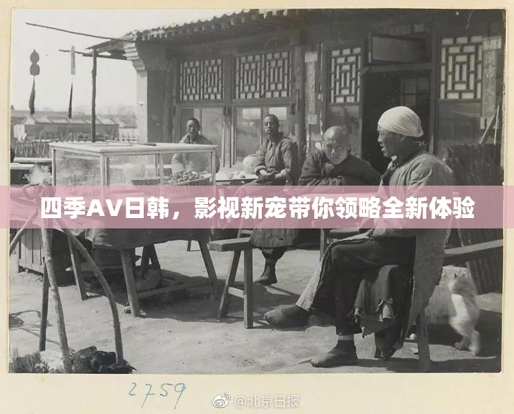 四季AV日韩，影视新宠带你领略全新体验