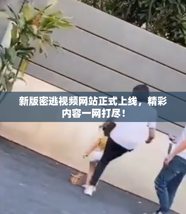 新版密逃视频网站正式上线，精彩内容一网打尽！