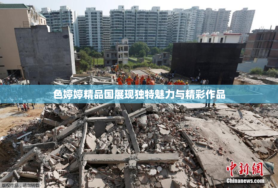 色婷婷精品国展现独特魅力与精彩作品