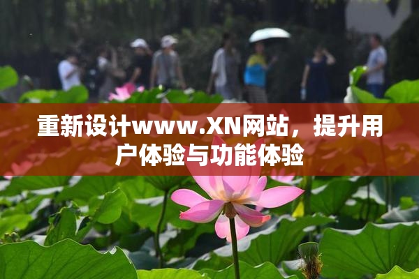 重新设计www.XN网站，提升用户体验与功能体验