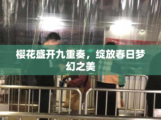樱花盛开九重奏，绽放春日梦幻之美