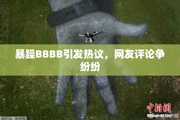 暴躁BBBB引发热议，网友评论争纷纷