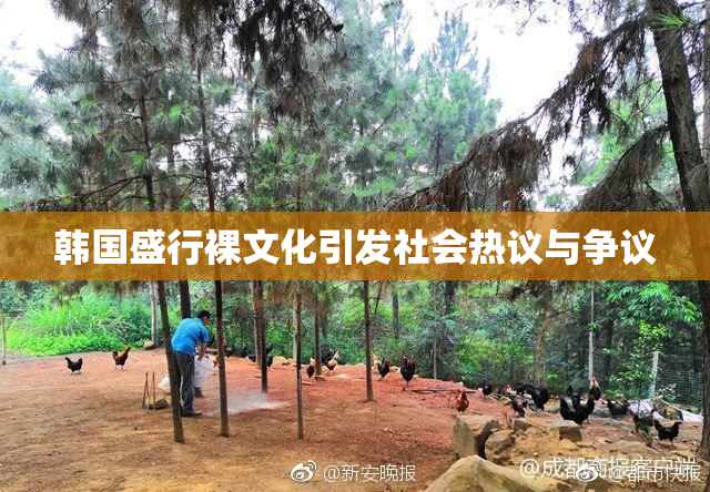 韩国盛行裸文化引发社会热议与争议