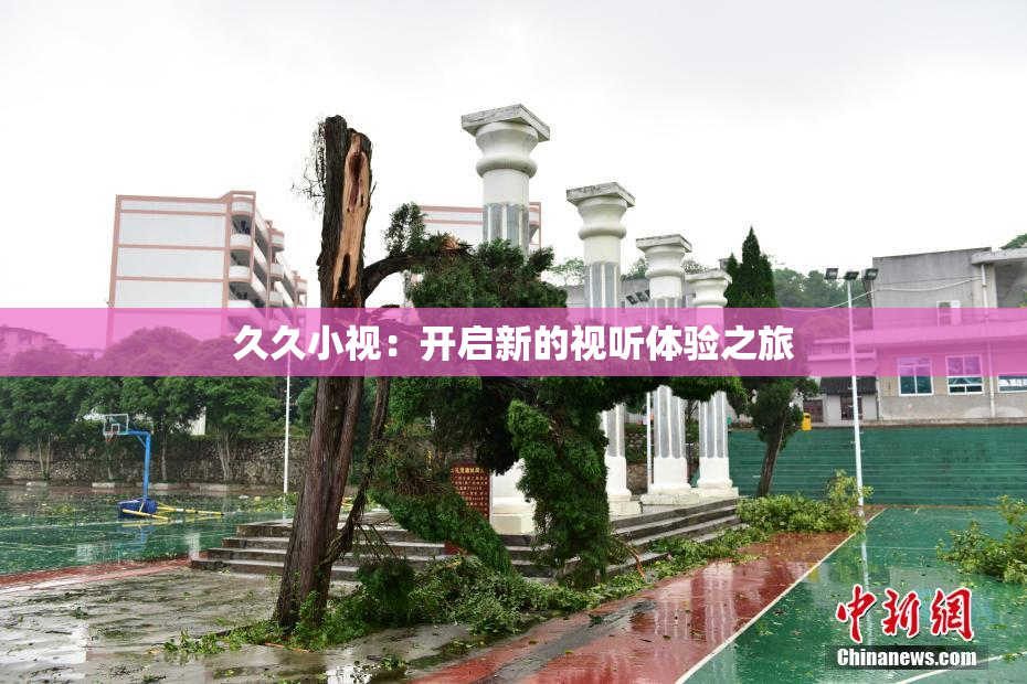 久久小视：开启新的视听体验之旅