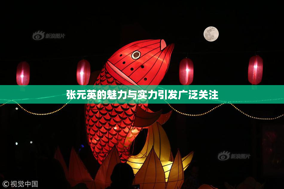 张元英的魅力与实力引发广泛关注