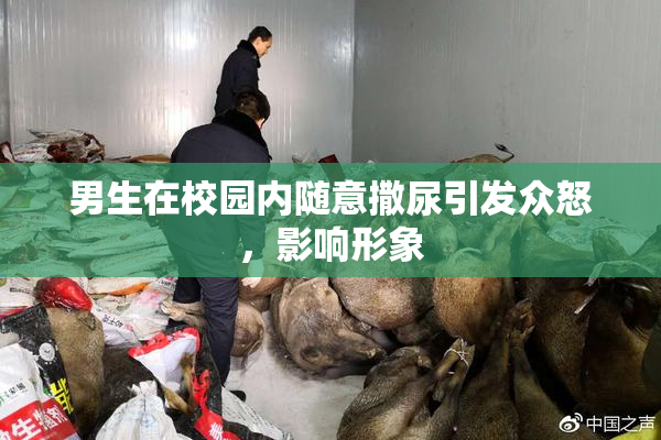 男生在校园内随意撒尿引发众怒，影响形象