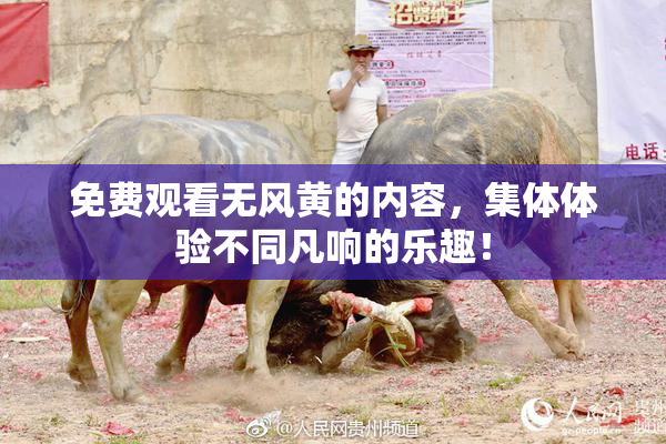 免费观看无风黄的内容，集体体验不同凡响的乐趣！