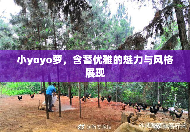 小yoyo萝，含蓄优雅的魅力与风格展现