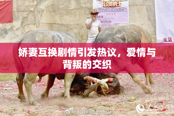 娇妻互换剧情引发热议，爱情与背叛的交织