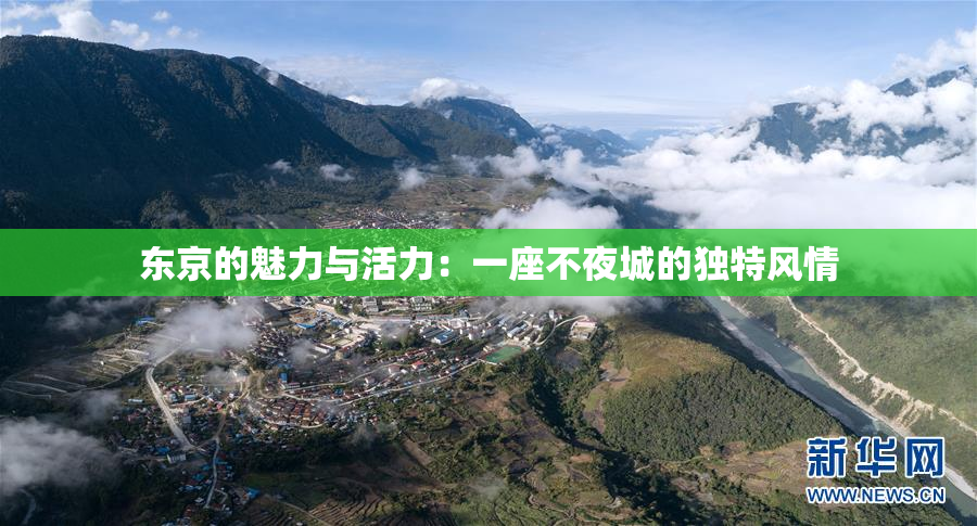 东京的魅力与活力：一座不夜城的独特风情