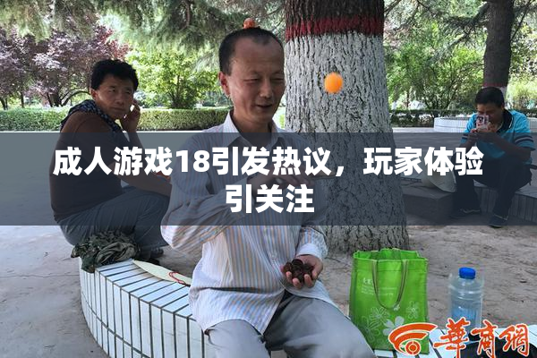成人游戏18引发热议，玩家体验引关注