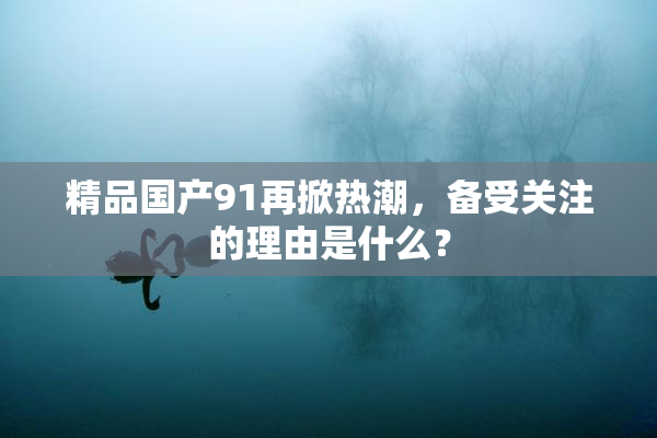 精品国产91再掀热潮，备受关注的理由是什么？
