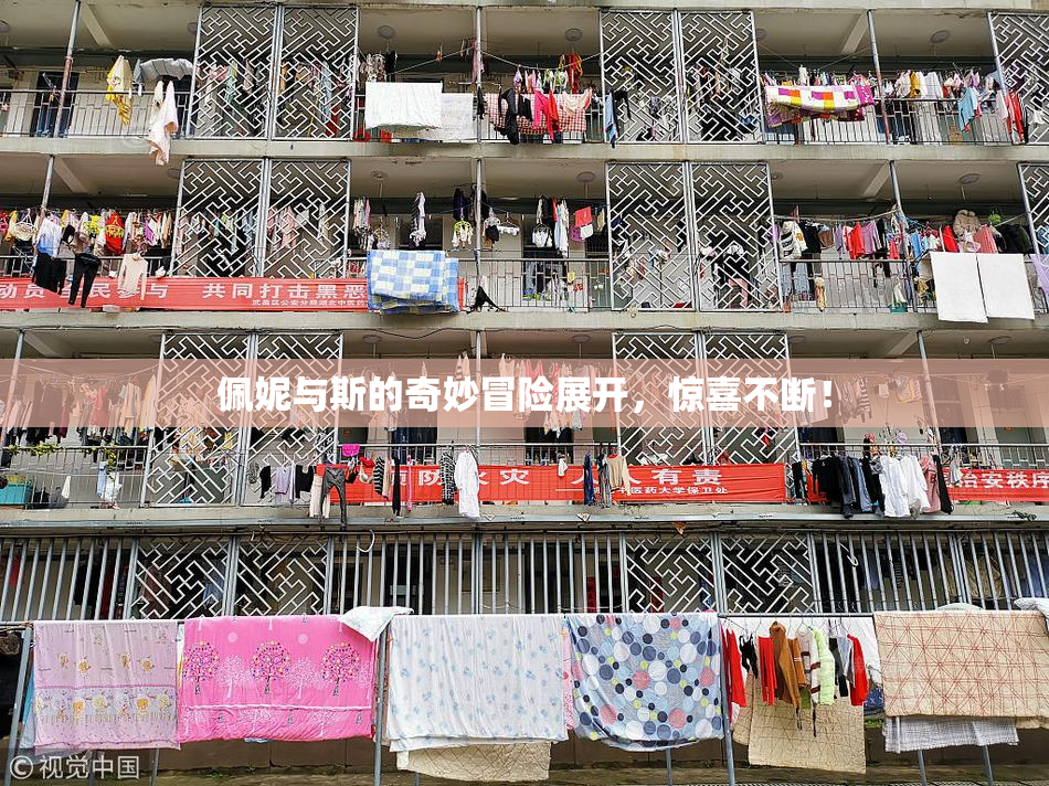 佩妮与斯的奇妙冒险展开，惊喜不断！