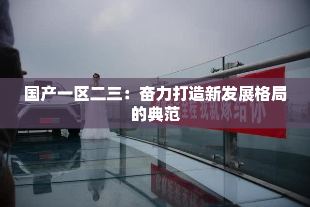 国产一区二三：奋力打造新发展格局的典范