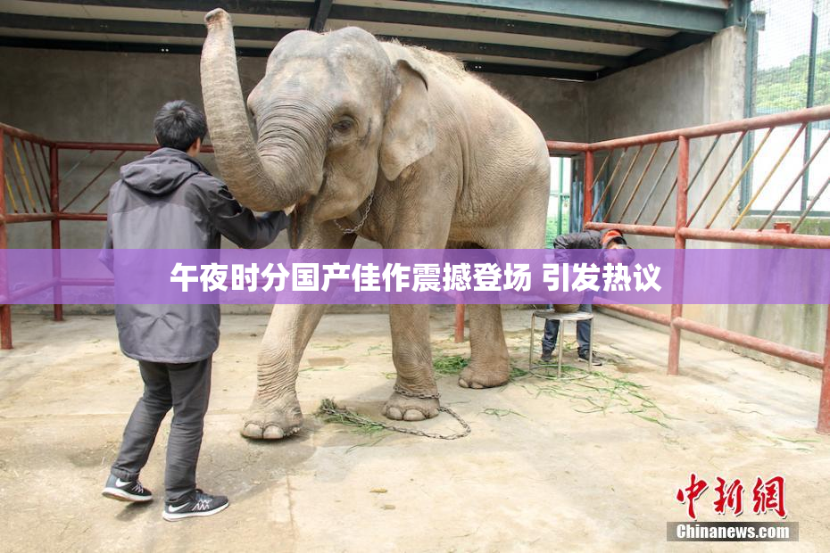 午夜时分国产佳作震撼登场 引发热议