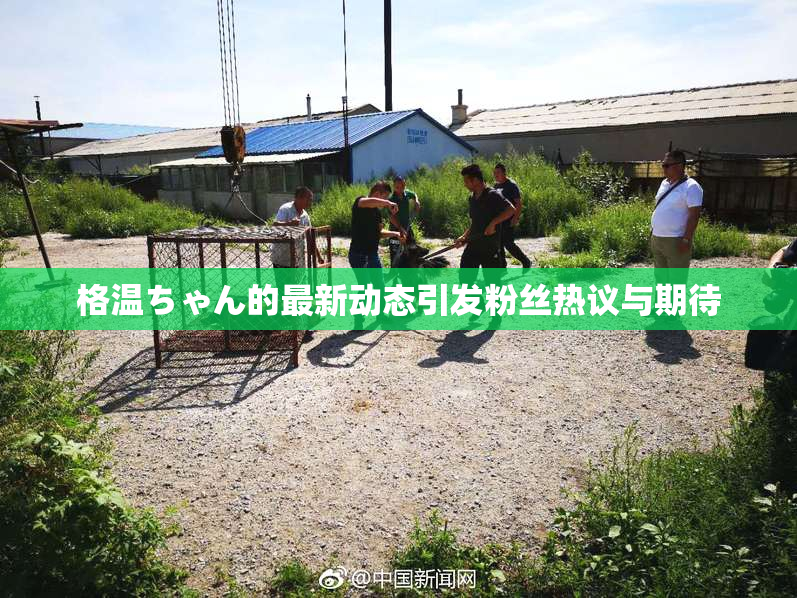 格温ちゃん的最新动态引发粉丝热议与期待