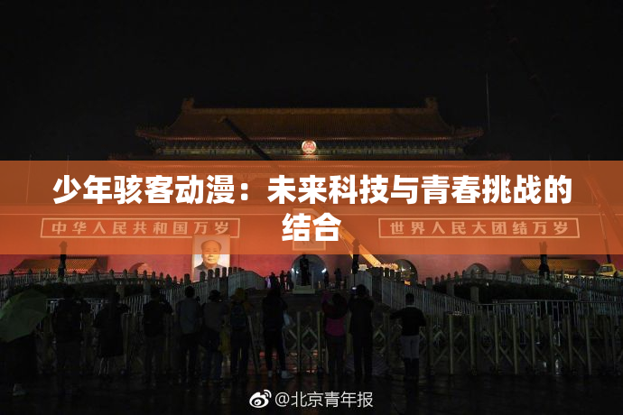 少年骇客动漫：未来科技与青春挑战的结合