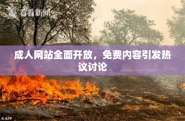 成人网站全面开放，免费内容引发热议讨论