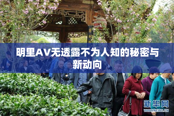 明里AV无透露不为人知的秘密与新动向
