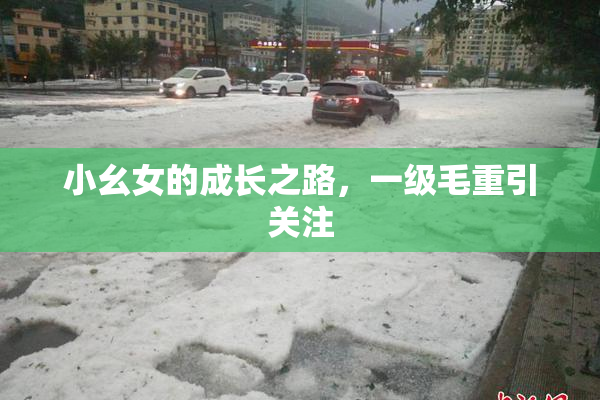 小幺女的成长之路，一级毛重引关注