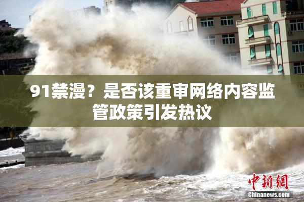 91禁漫？是否该重审网络内容监管政策引发热议