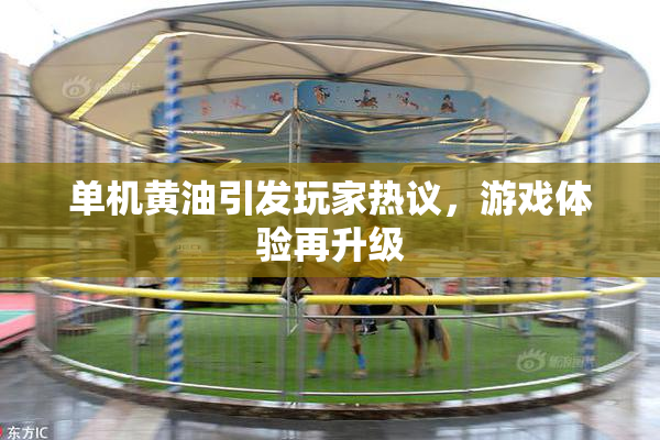 单机黄油引发玩家热议，游戏体验再升级