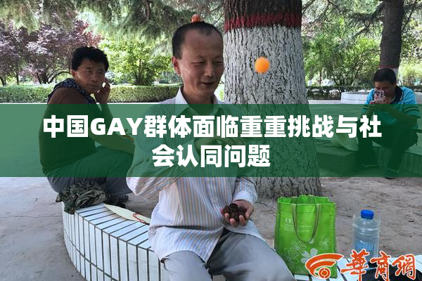 中国GAY群体面临重重挑战与社会认同问题