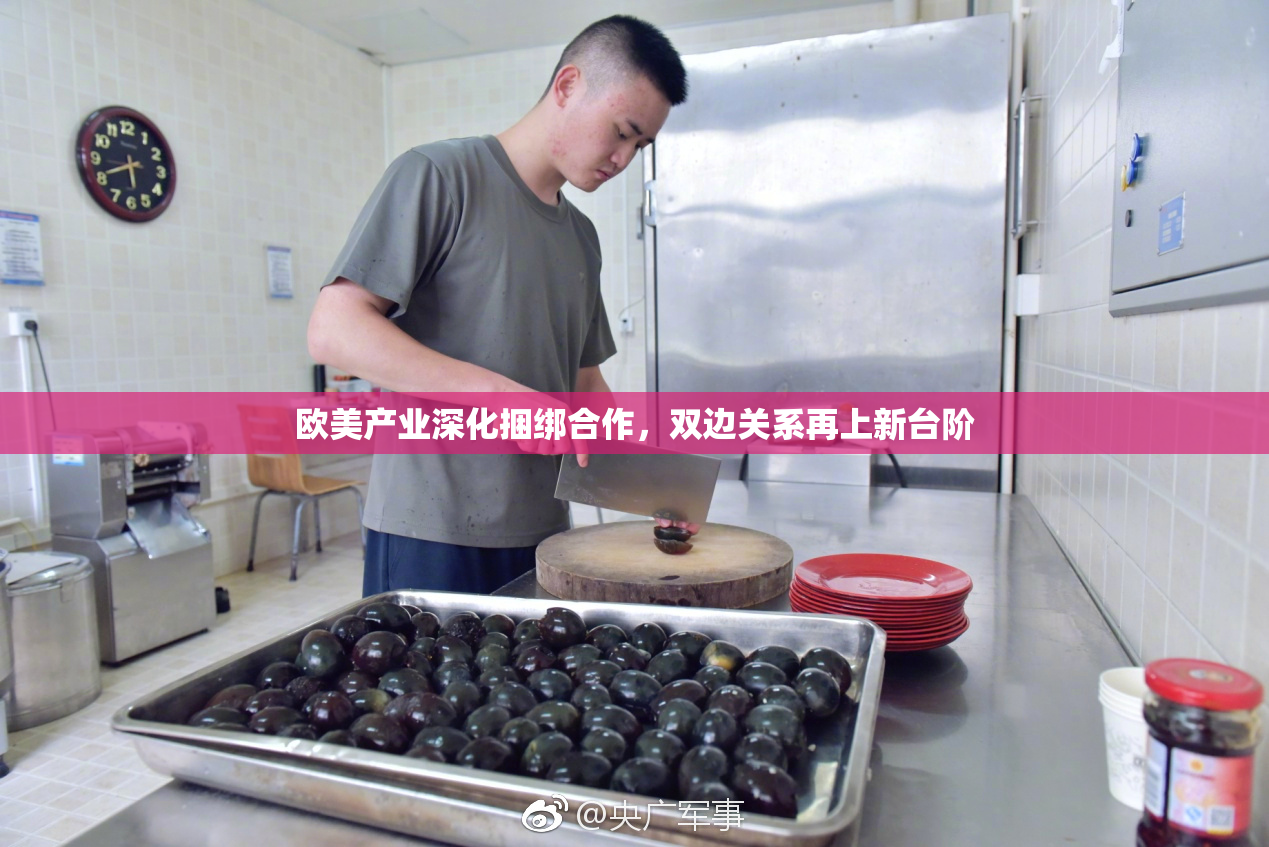 欧美产业深化捆绑合作，双边关系再上新台阶
