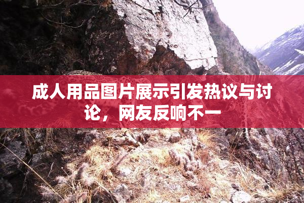 成人用品图片展示引发热议与讨论，网友反响不一
