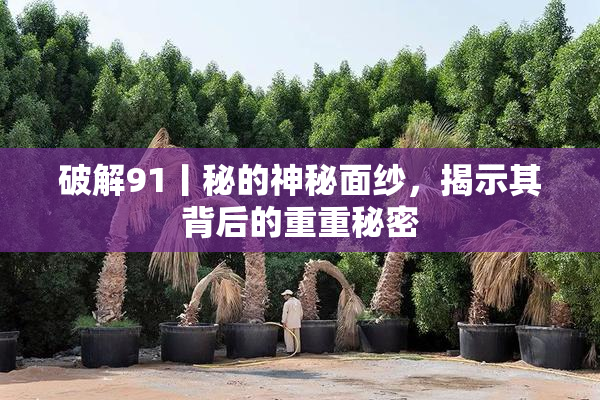 破解91丨秘的神秘面纱，揭示其背后的重重秘密