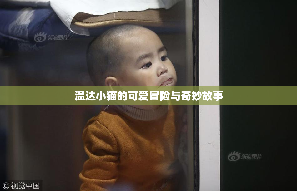 温达小猫的可爱冒险与奇妙故事