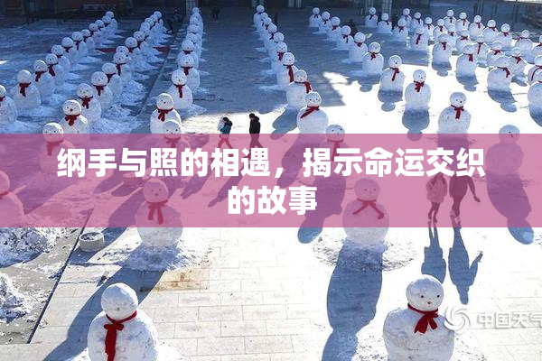 纲手与照的相遇，揭示命运交织的故事