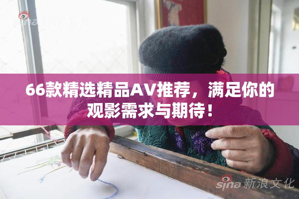 66款精选精品AV推荐，满足你的观影需求与期待！