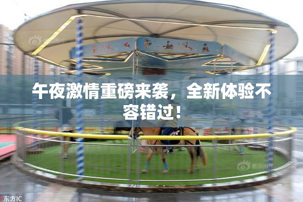 午夜激情重磅来袭，全新体验不容错过！