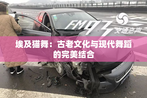 埃及猫舞：古老文化与现代舞蹈的完美结合