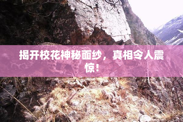 揭开校花神秘面纱，真相令人震惊！