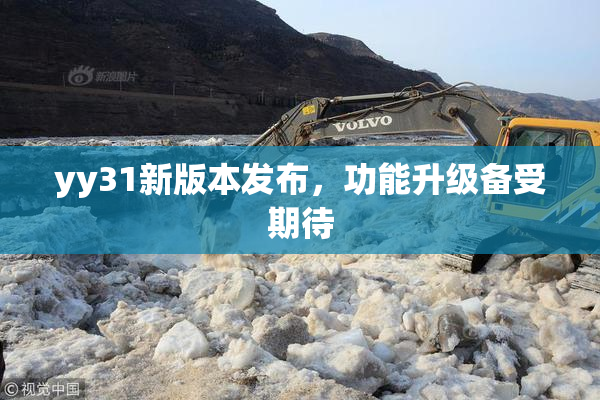yy31新版本发布，功能升级备受期待