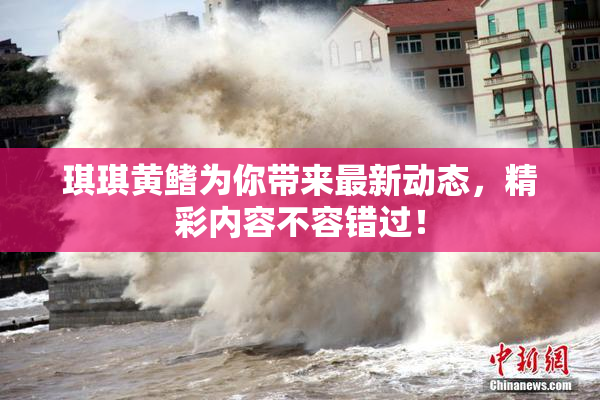 琪琪黄鳍为你带来最新动态，精彩内容不容错过！