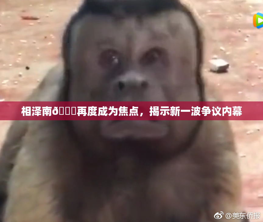 相泽南😚再度成为焦点，揭示新一波争议内幕