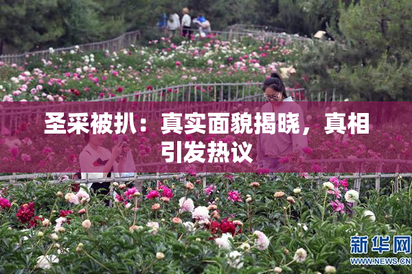 圣采被扒：真实面貌揭晓，真相引发热议