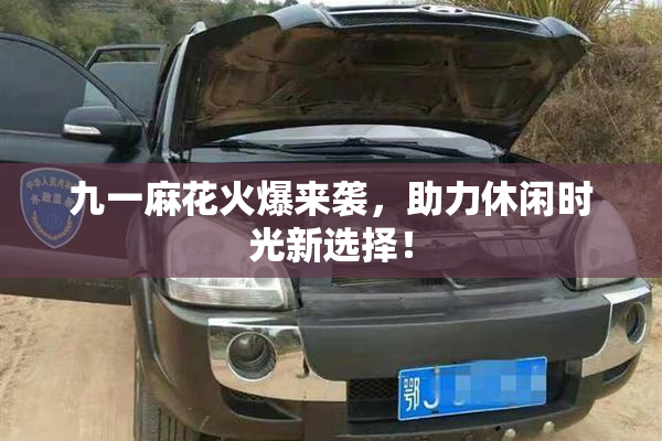 九一麻花火爆来袭，助力休闲时光新选择！