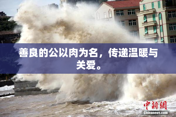 善良的公以肉为名，传递温暖与关爱。