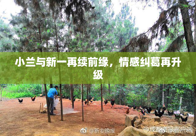 小兰与新一再续前缘，情感纠葛再升级