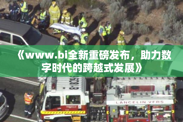 《www.bi全新重磅发布，助力数字时代的跨越式发展》