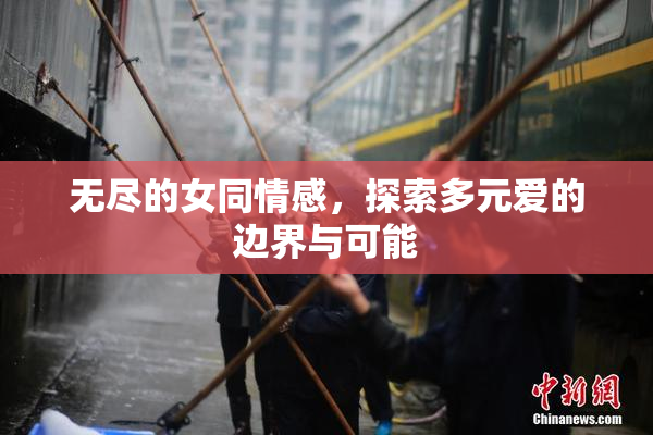 无尽的女同情感，探索多元爱的边界与可能