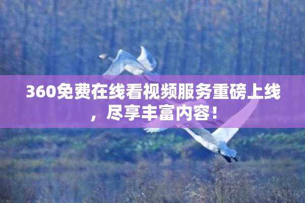 360免费在线看视频服务重磅上线，尽享丰富内容！