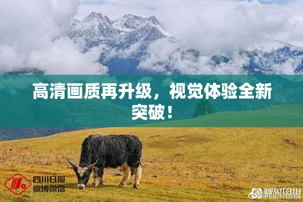 高清画质再升级，视觉体验全新突破！