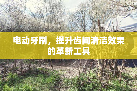 电动牙刷，提升齿间清洁效果的革新工具