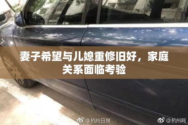 妻子希望与儿媳重修旧好，家庭关系面临考验